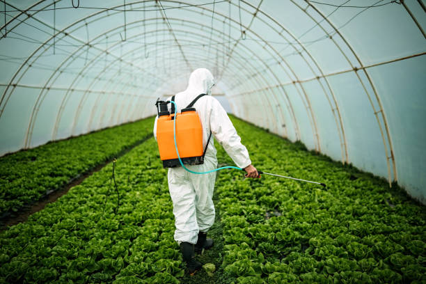 Best Affordable Pest Control Services  in Ashdown, AR