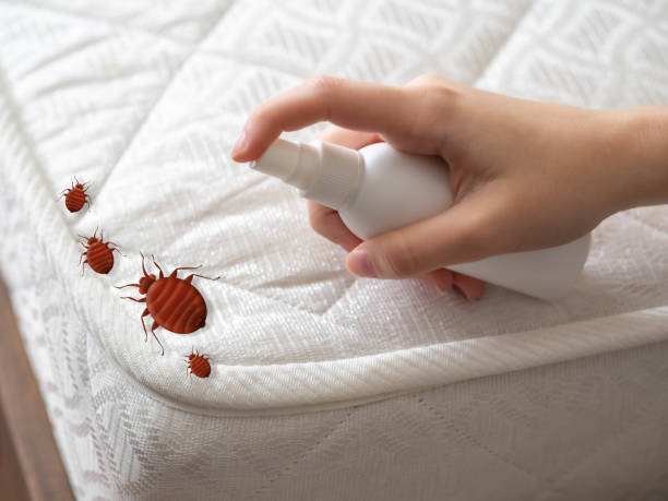Best Exterminator Services  in Ashdown, AR