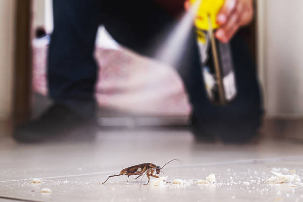 Best Pest Prevention Services  in Ashdown, AR