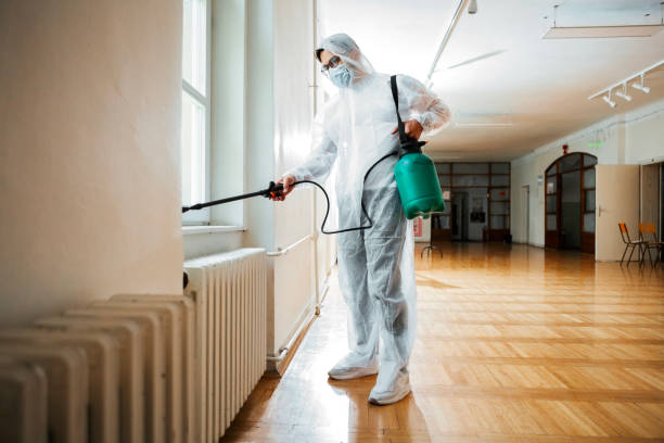 Best Best Pest Control Companies  in Ashdown, AR